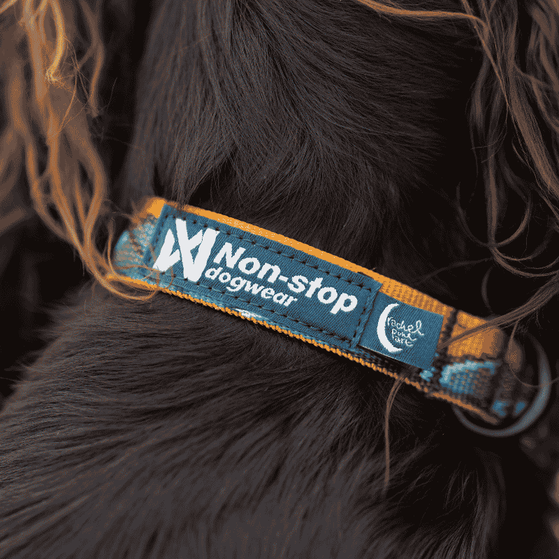 Trail Quest Collar Rachel Pohl Edition Teal/Oak