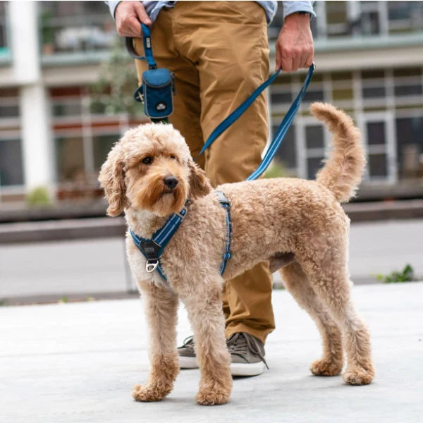 Arnés DOG Copenhagen Comfort Walk Air™ V3 - Amarillo