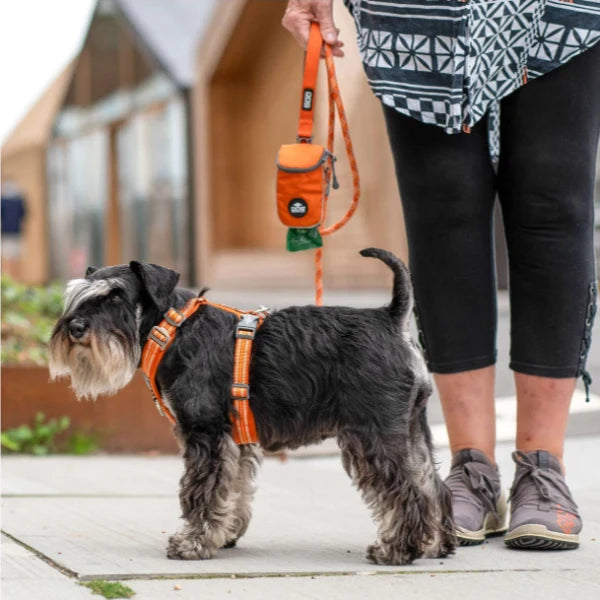 Arnés DOG Copenhagen Comfort Walk Air™ V3 - Amarillo