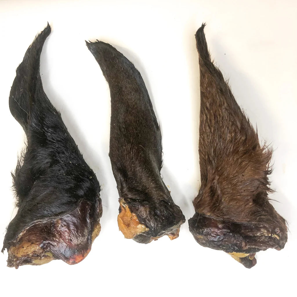 Oreja de Caballo Deshidratada