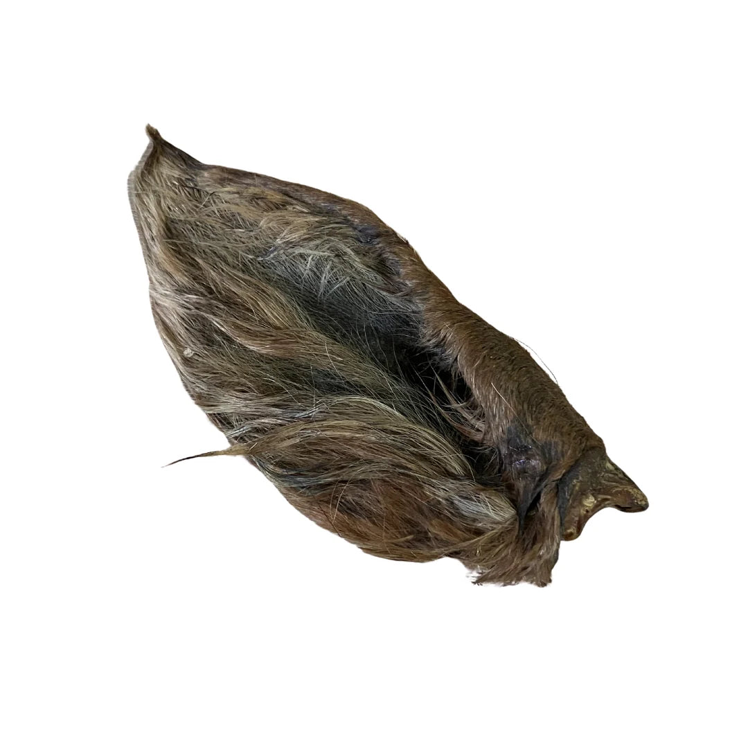 Oreja de Caballo Deshidratada