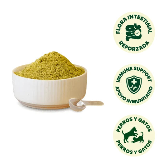 Wild Balance Suplemento DIGESTIONES FIRMES