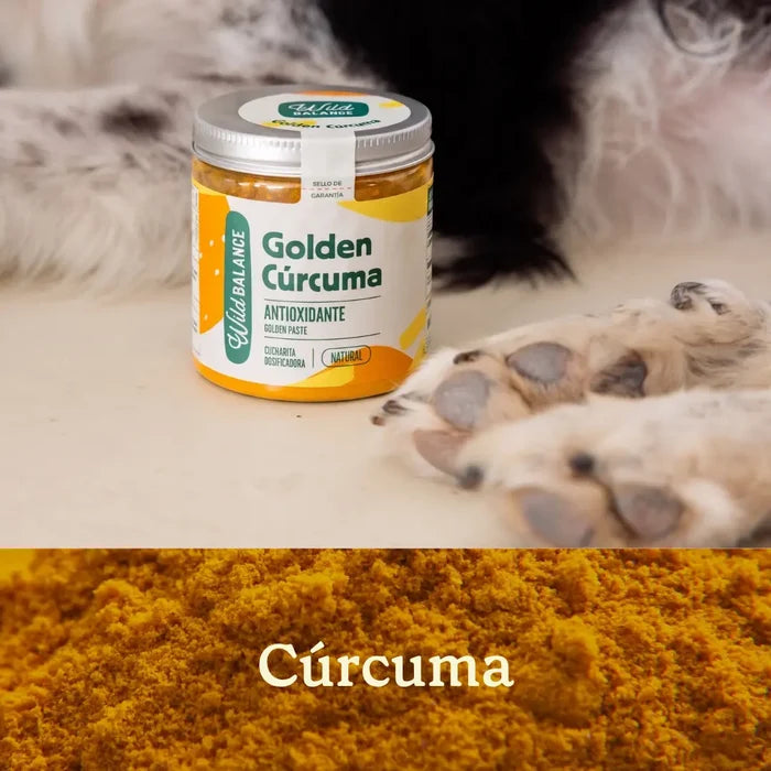 Wild Balance Suplemento GOLDEN CÚRCUMA