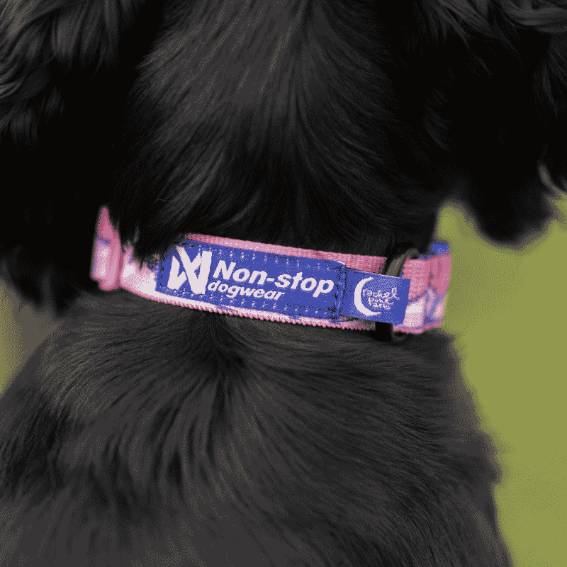 Trail Quest Collar Rachel Pohl Edition Purple/Pink
