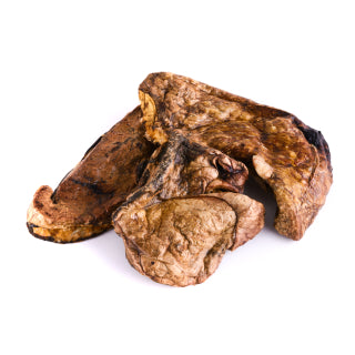 Pulmón de Caballo Deshidratado - 100g