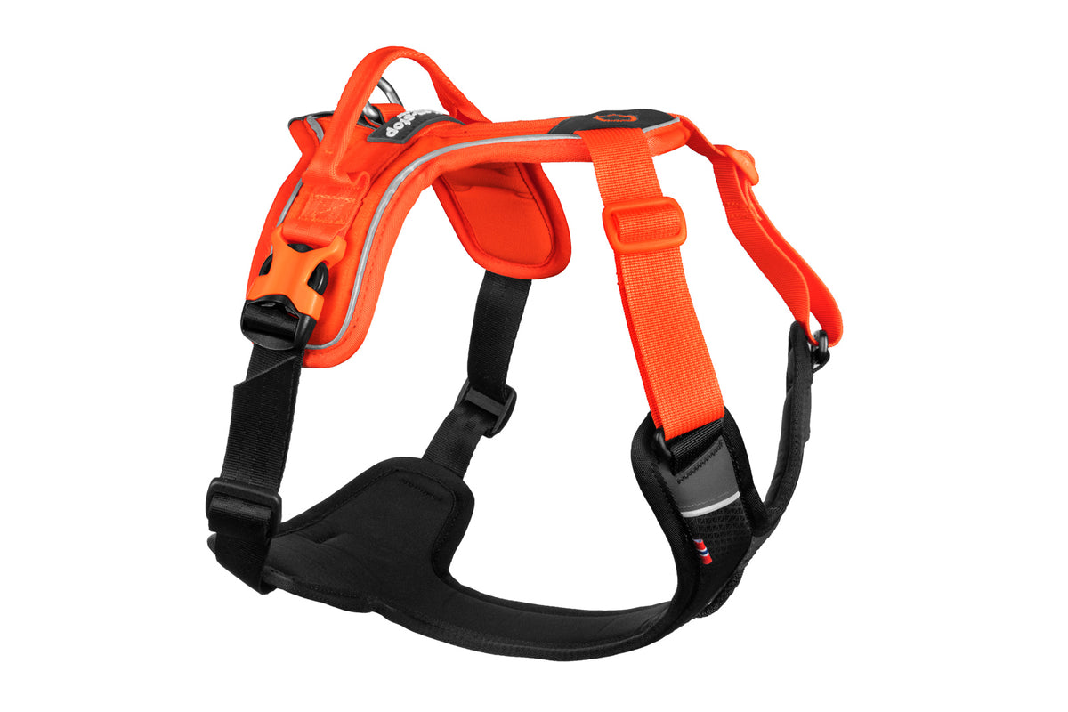 Ramble Harness Black/Orange