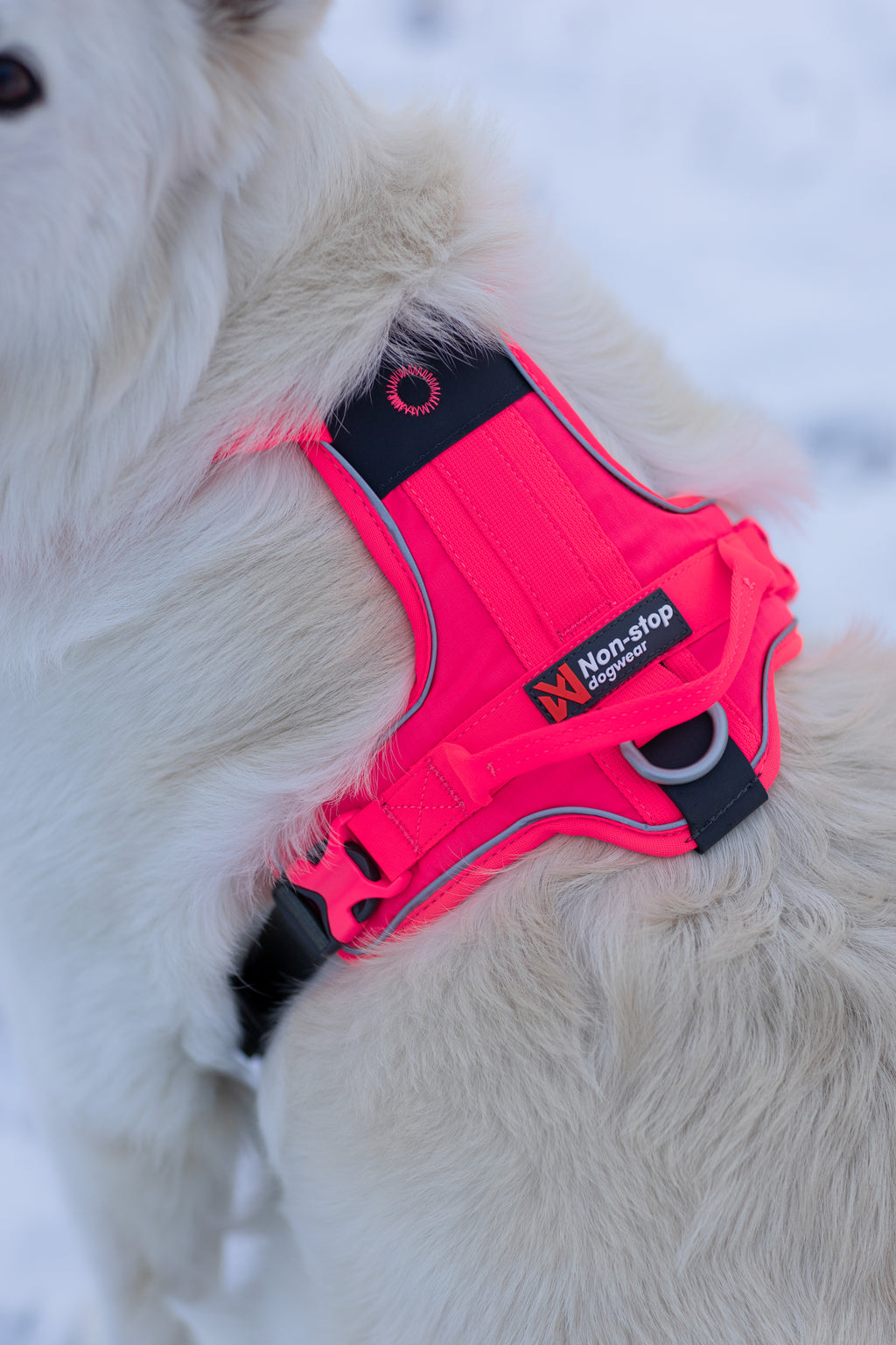 Ramble Harness Black/Pink