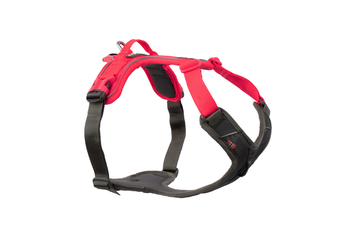 Ramble Harness Black/Pink