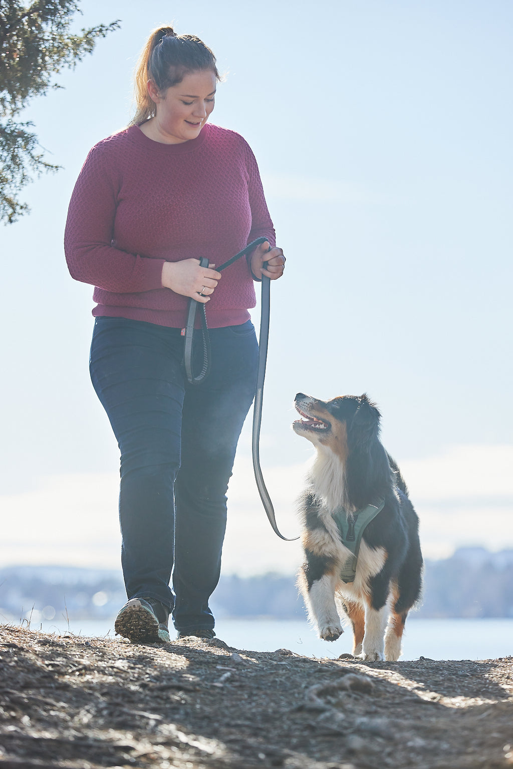 Ramble Harness Green