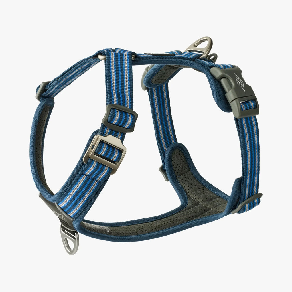 Arnés DOG Copenhagen Comfort Walk Air™ V3 - Azul