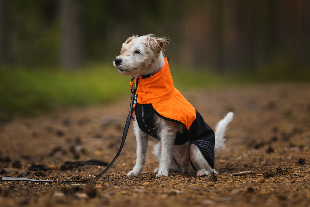 Tumble Collar para Cachorros y Perros Pequeños