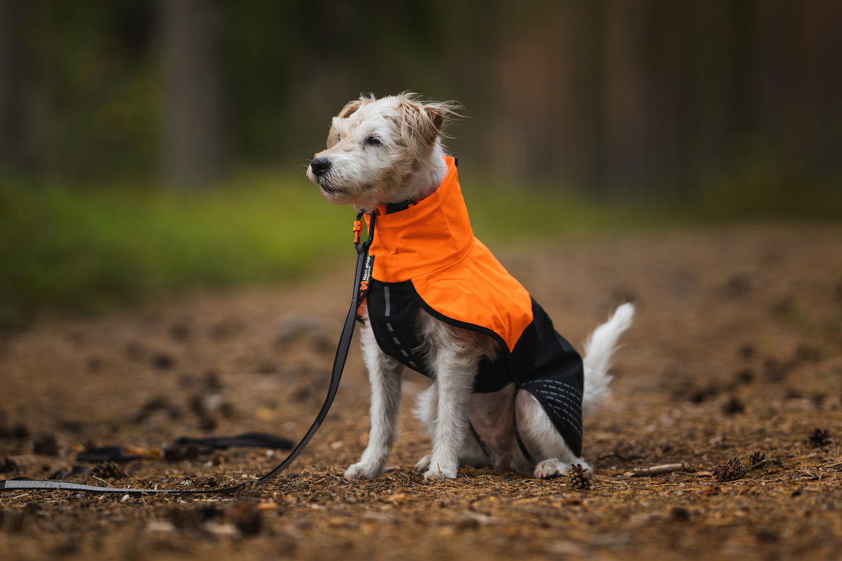 Tumble Collar para Cachorros y Perros Pequeños