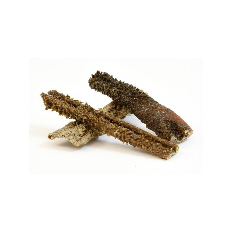 Tripa de Cordero Deshidratada - 100g